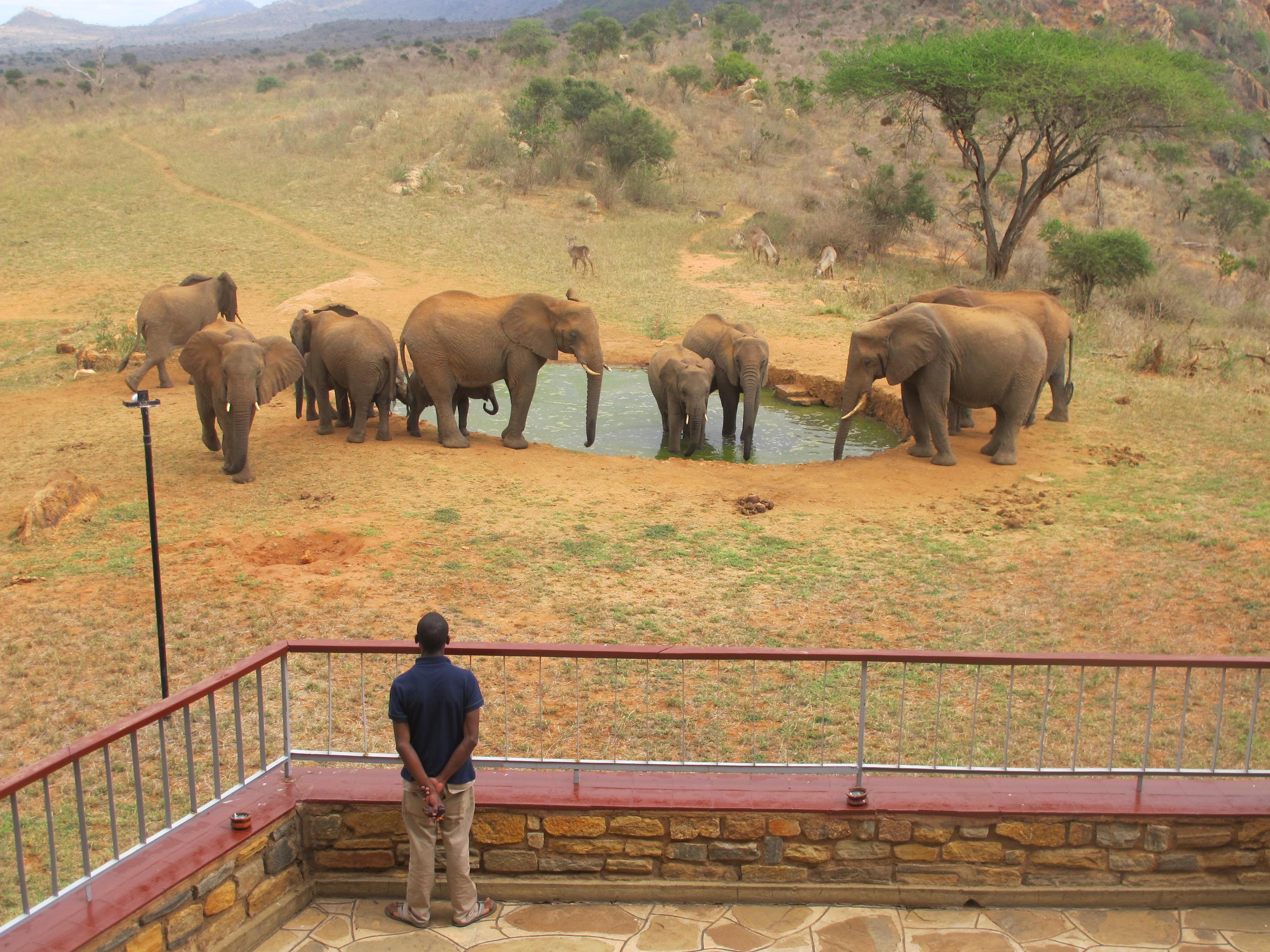 Ngulia Safari Lodge Tsavo Exterior foto